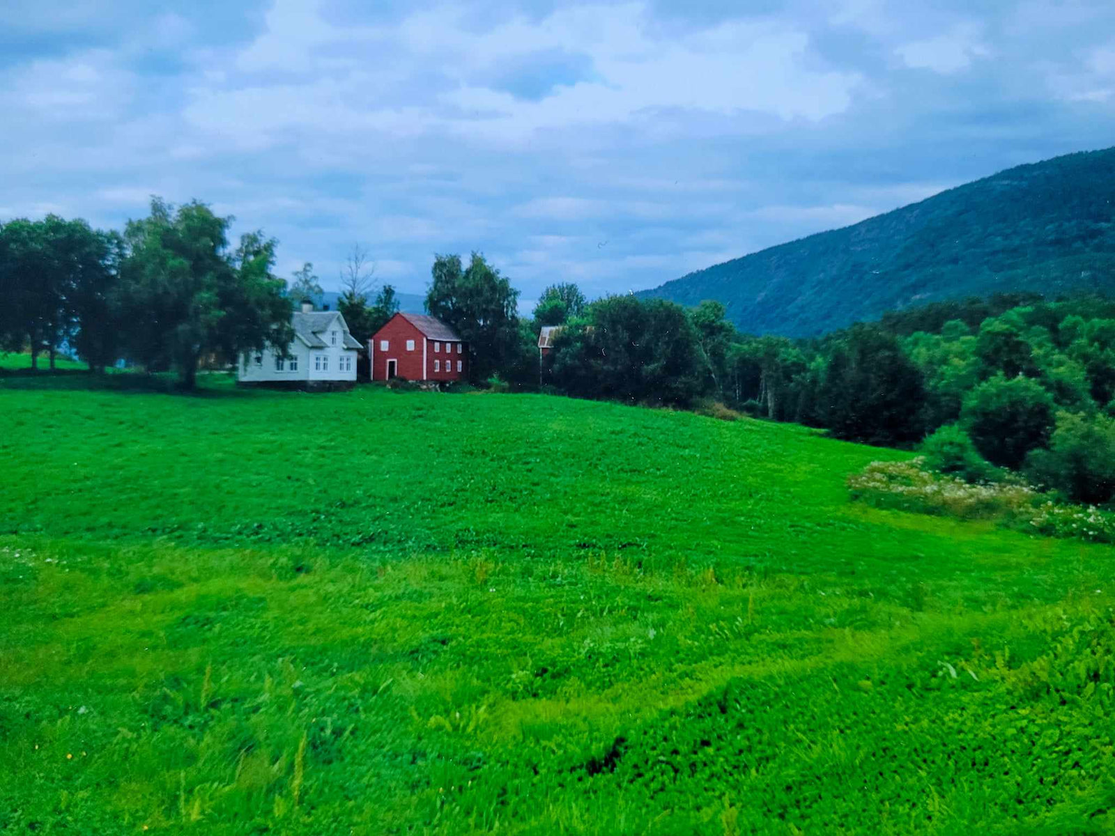 Bøtun i 2012