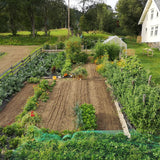 Kjøkkenhage kurs - 25. april kl. 10 - 16.